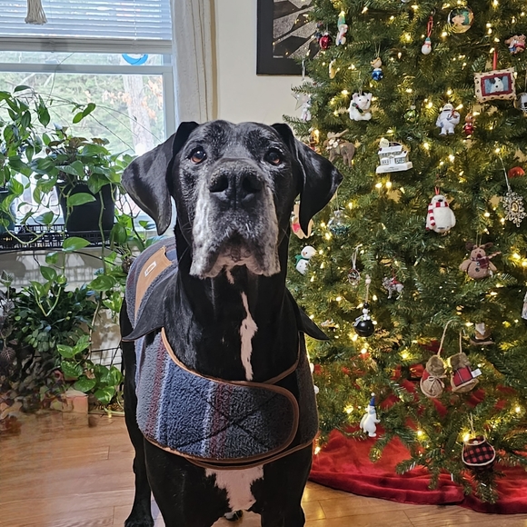 Hello! If you are here, thank you for checking out my page. I appreciate you! 🧡 - Picture 4 of 6